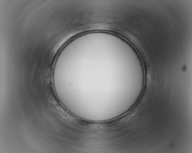 X0000116301212200912211854