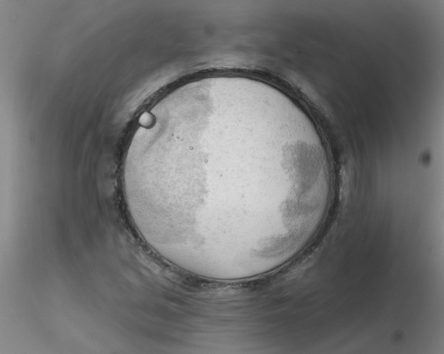 X0000116301213200912211854