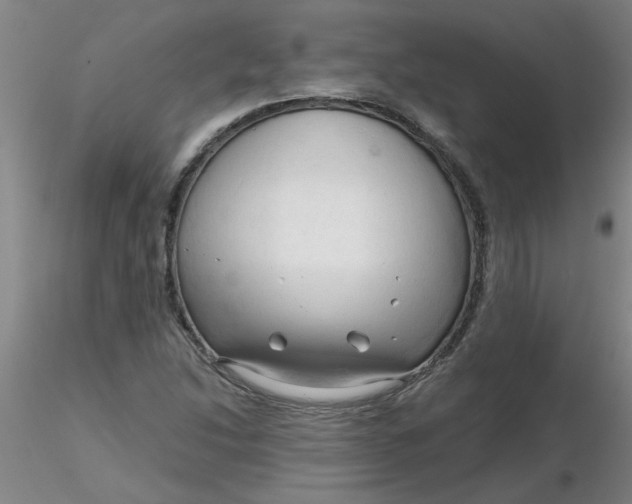 X0000116301214200912211854