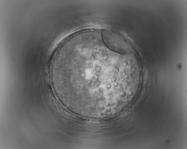 X0000116301215200912211854