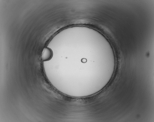 X0000116301217200912211854