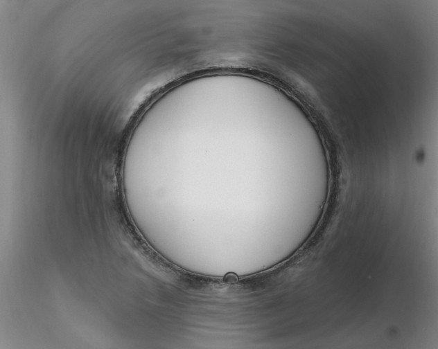 X0000116301218200912211854