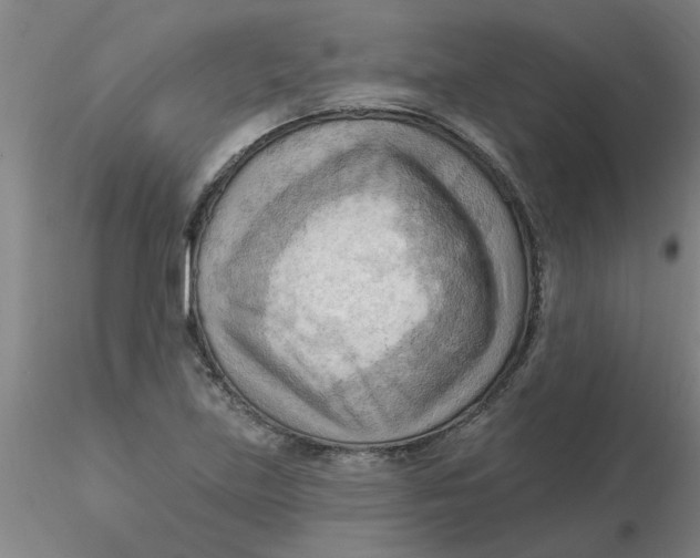 X0000116301219200912211854