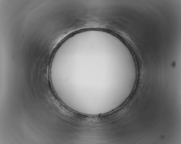 X0000116301220200912211854