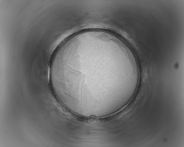 X0000116301221200912211854