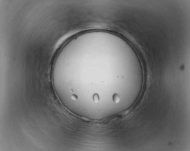 X0000116301222200912211854