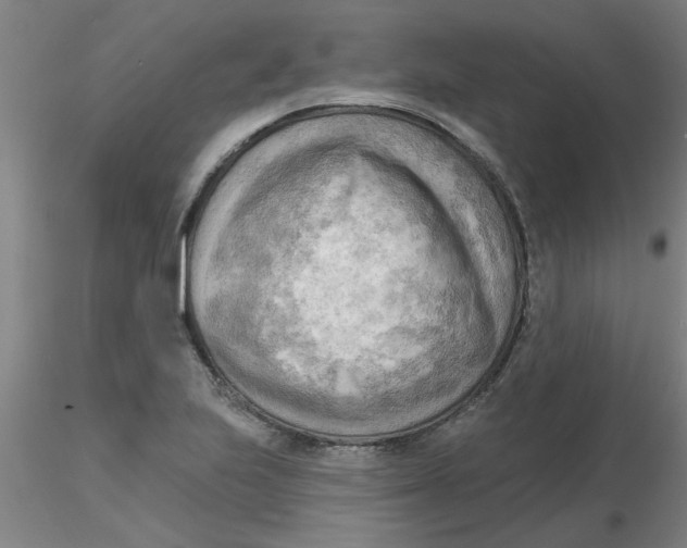 X0000116301223200912211854