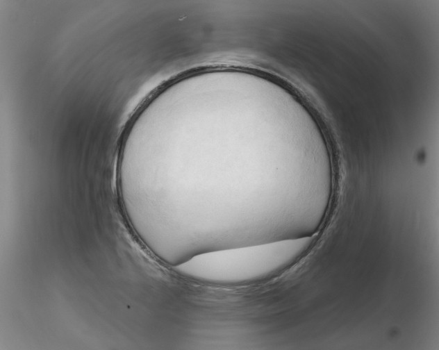 X0000116301224200912211854