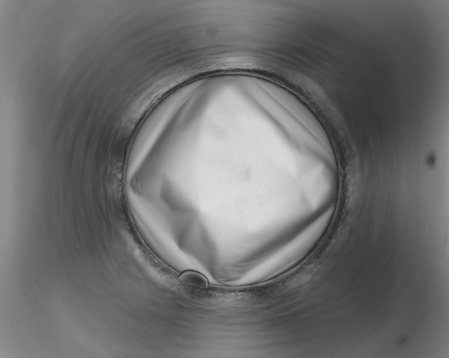 X0000116301225200912211854