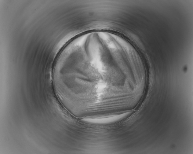 X0000116301226200912211854