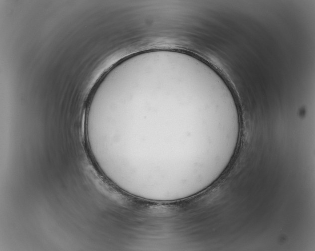 X0000116301227200912211854