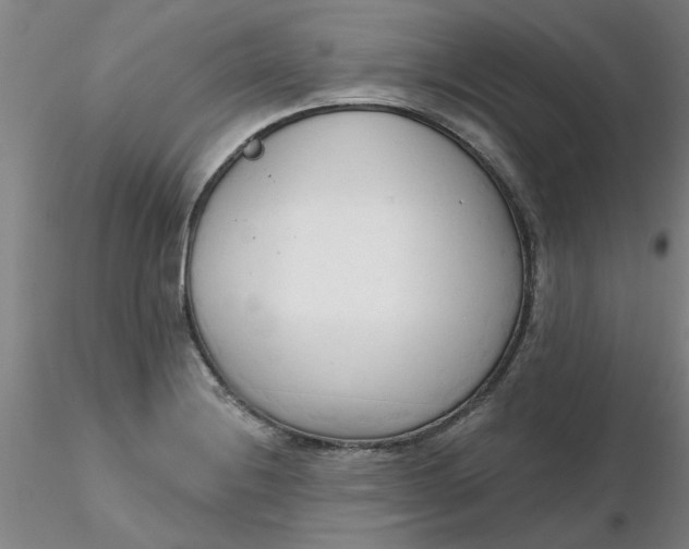 X0000116301228200912211854