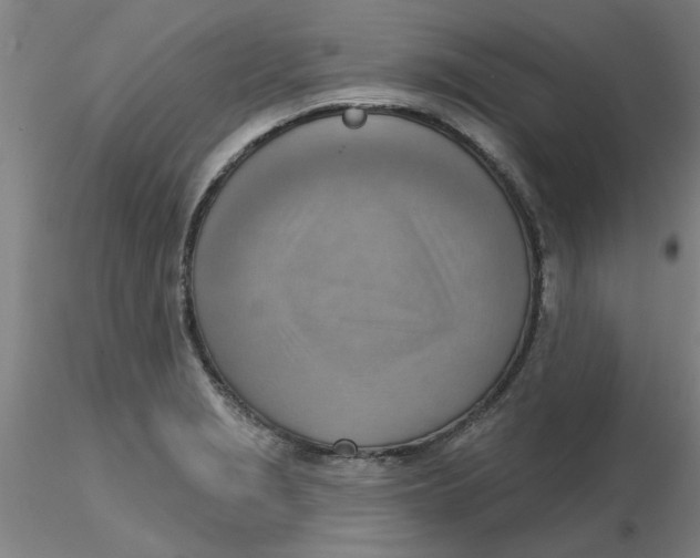 X0000116301229200912211854