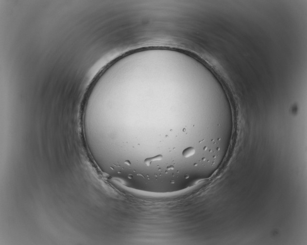 X0000116301230200912211854