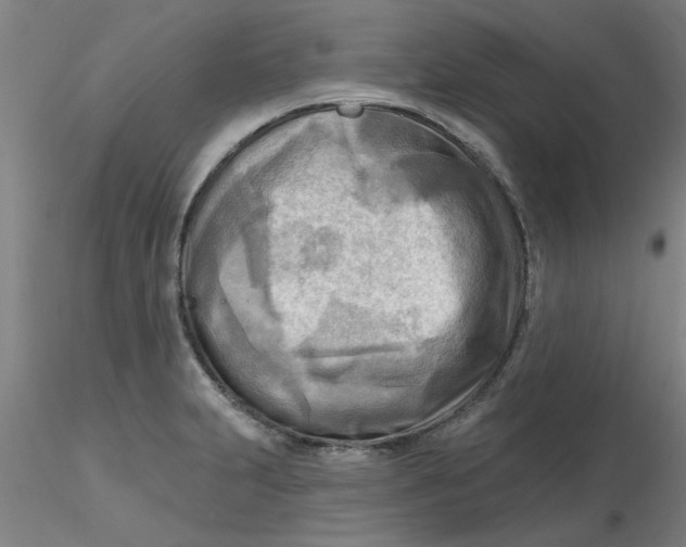 X0000116301231200912211855