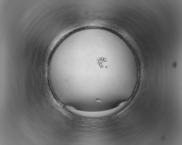 X0000116301232200912211855