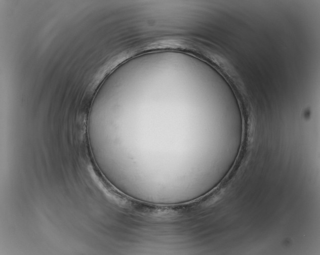 X0000116301233200912211855