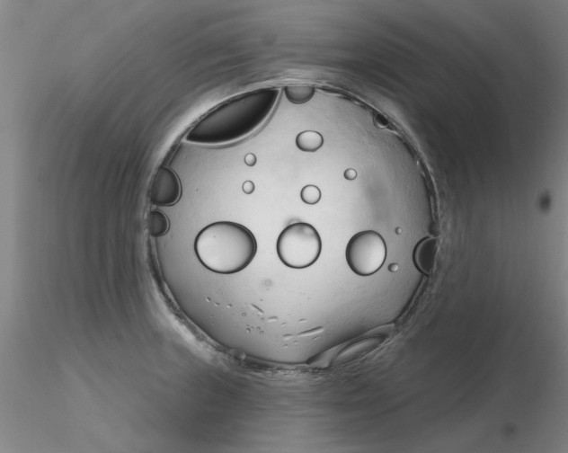 X0000116301235200912211855