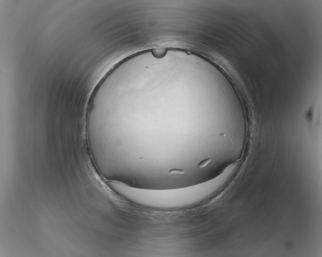 X0000116301236200912211855