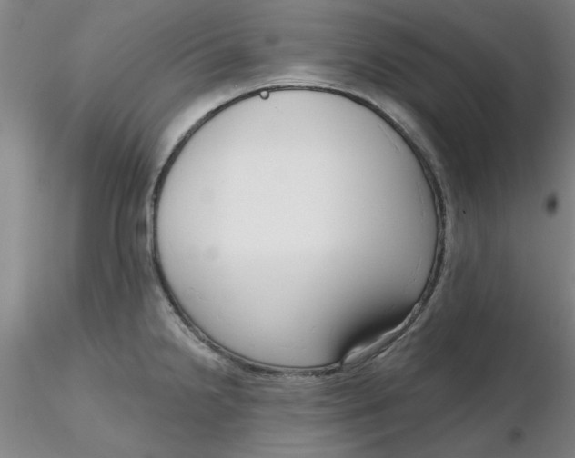 X0000116301238200912211855