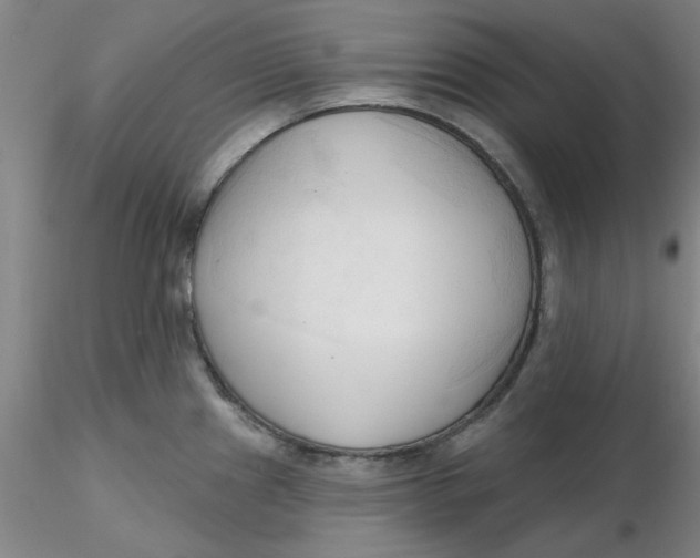 X0000116301241200912211855