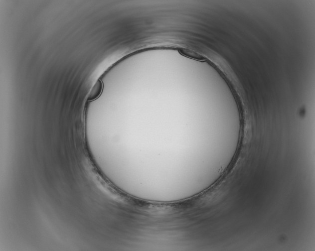 X0000116301242200912211855