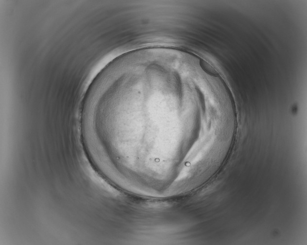 X0000116301243200912211855