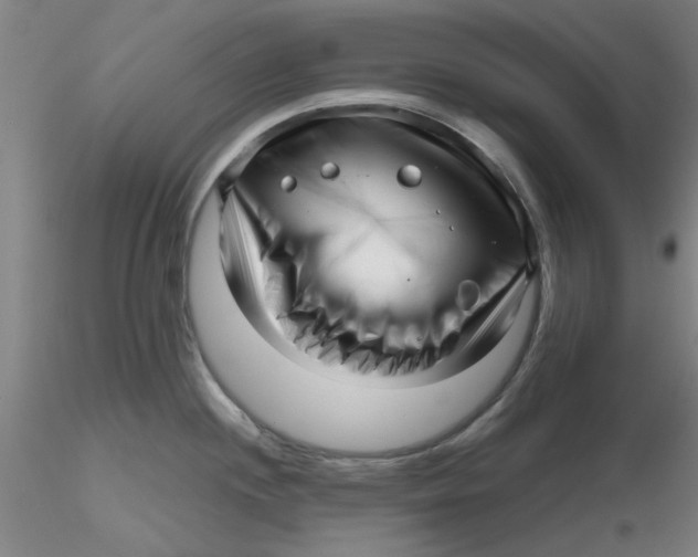 X0000116301244200912211855