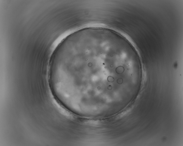 X0000116301245200912211855