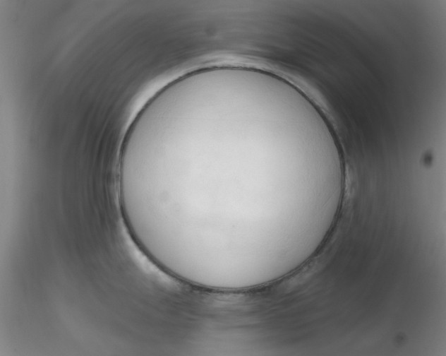 X0000116301247200912211855