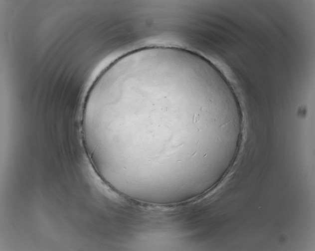 X0000116301248200912211855