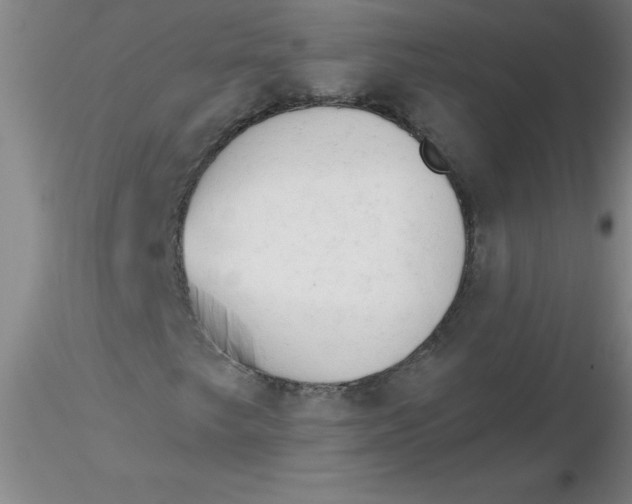 X0000116301249200912211854