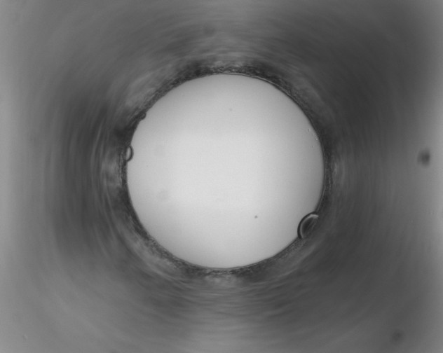 X0000116301250200912211854