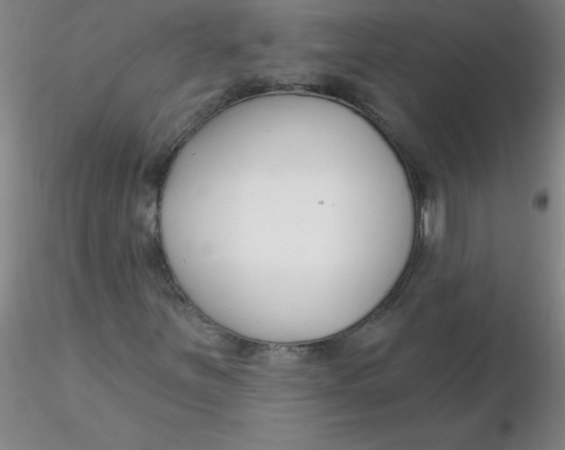 X0000116301251200912211854