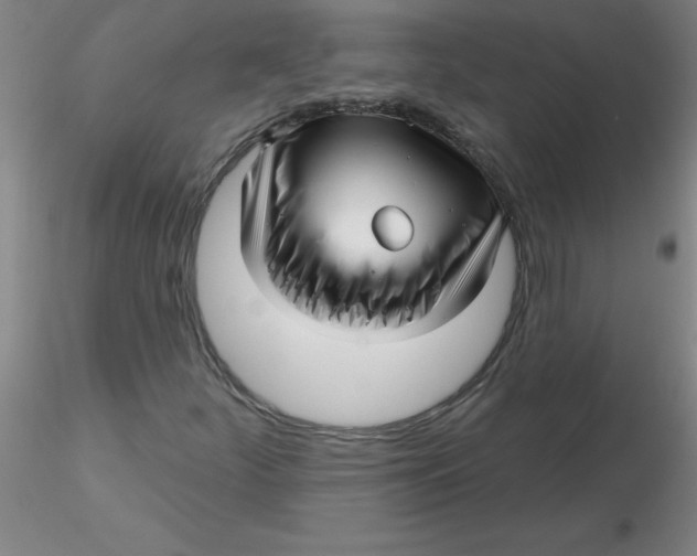 X0000116301252200912211854