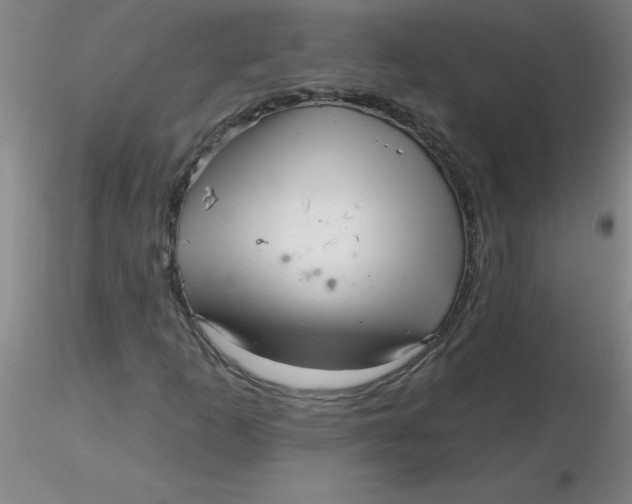 X0000116301253200912211854