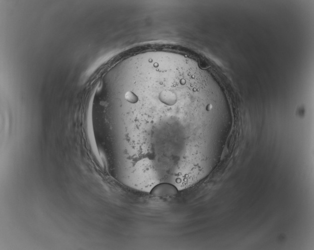 X0000116301255200912211854