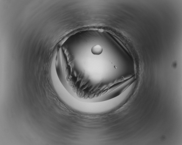 X0000116301257200912211854