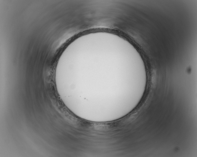 X0000116301258200912211854