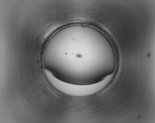 X0000116301259200912211854