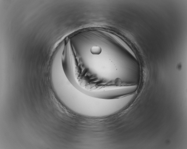 X0000116301260200912211854