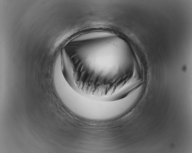 X0000116301261200912211854