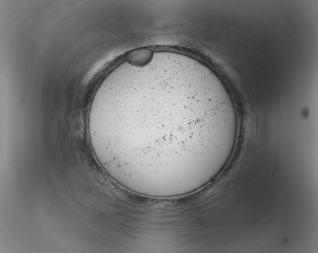 X0000116301262200912211854