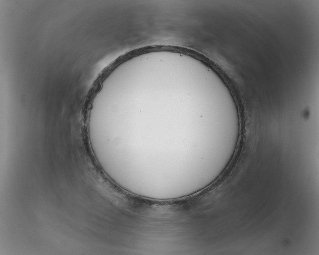 X0000116301264200912211854