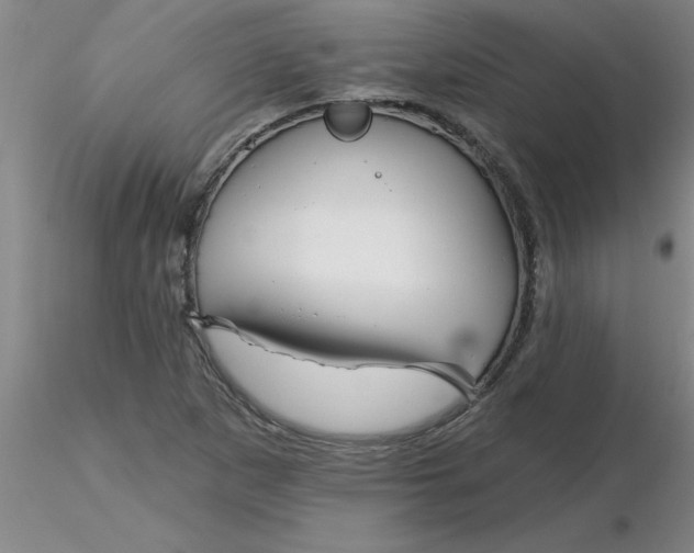 X0000116301265200912211854