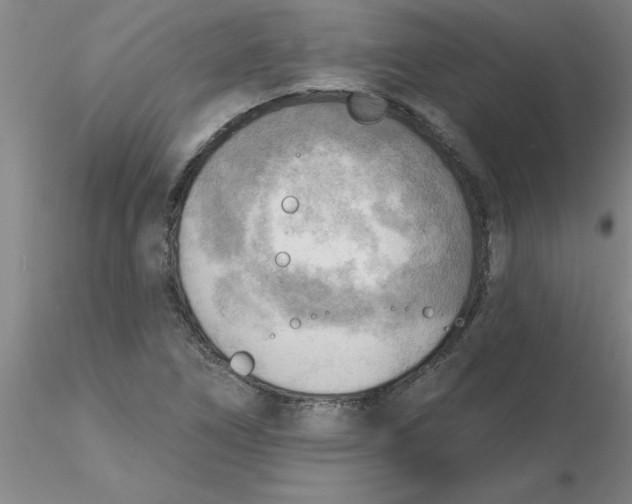 X0000116301266200912211854