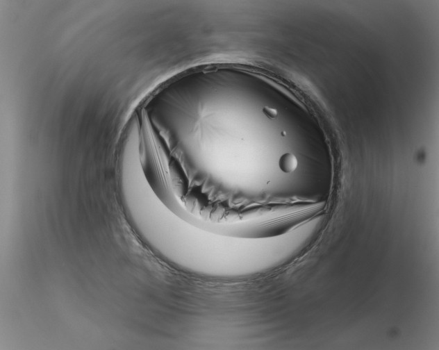 X0000116301268200912211854