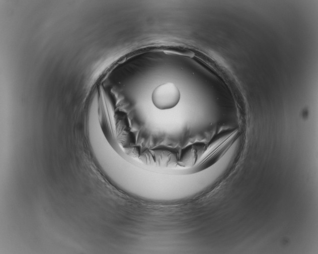 X0000116301269200912211854