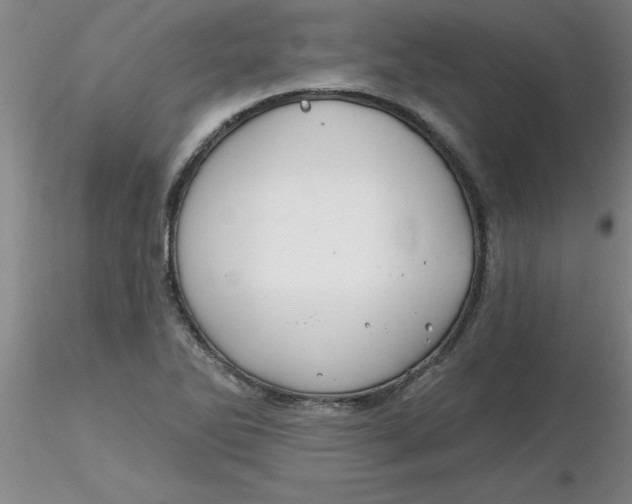 X0000116301270200912211854