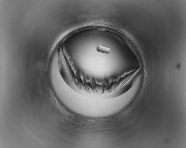 X0000116301272200912211854